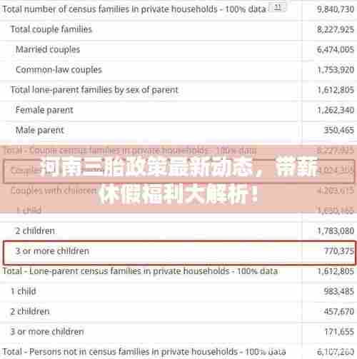 河南三胎政策最新动态,带薪休假福利大解析!