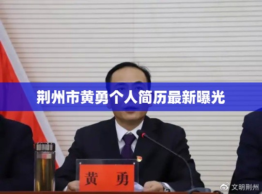 荆州市黄勇个人简历最新曝光