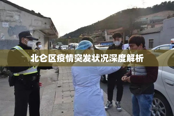 北仑区疫情突发状况深度解析