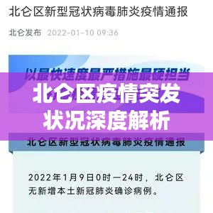 北仑区疫情突发状况深度解析