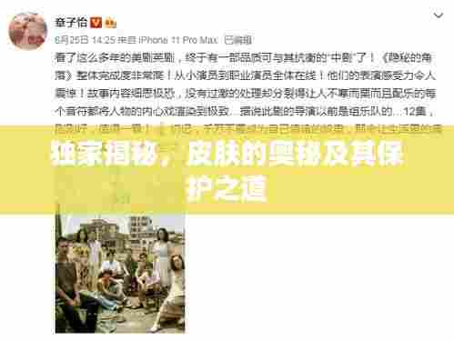 独家揭秘,皮肤的奥秘及其保护之道