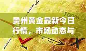 贵州黄金最新今日行情,市场动态与趋势解析