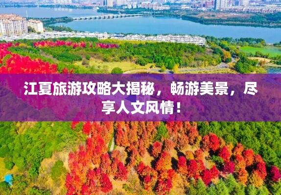 江夏旅游攻略大揭秘,畅游美景,尽享人文风情!