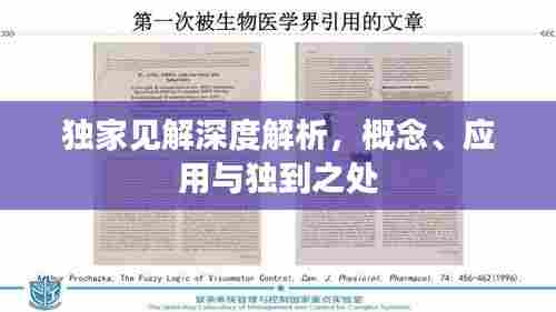 独家见解深度解析,概念、应用与独到之处