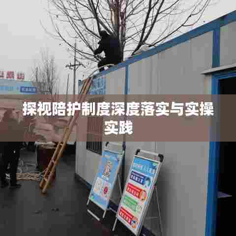 手不释卷 第6页