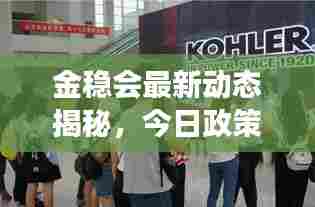金稳会最新动态揭秘,今日政策动向与市场反应速览