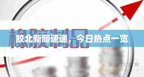 胶北新闻速递，今日热点一览