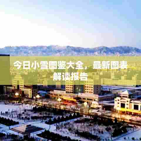 今日小雪图鉴大全,最新图表解读报告