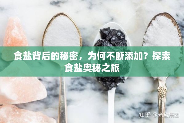 食盐背后的秘密,为何不断添加?探索食盐奥秘之旅