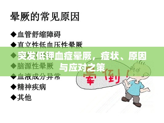 突发低钾血症晕厥,症状、原因与应对之策