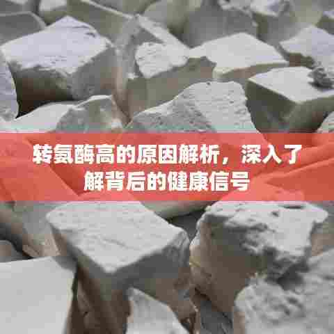 澹泊明志，宁静致远 第7页