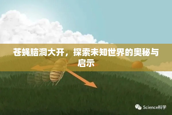 苍蝇脑洞大开,探索未知世界的奥秘与启示