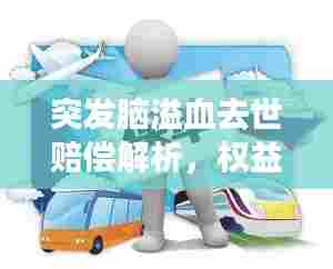 突发脑溢血去世赔偿解析，权益与责任的深度解读