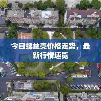 今日螺丝壳价格走势,最新行情速览
