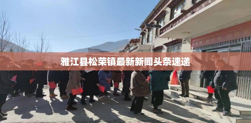 雅江县松荣镇最新新闻头条速递
