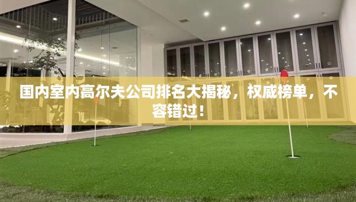 国内室内高尔夫公司排名大揭秘,权威榜单,不容错过!