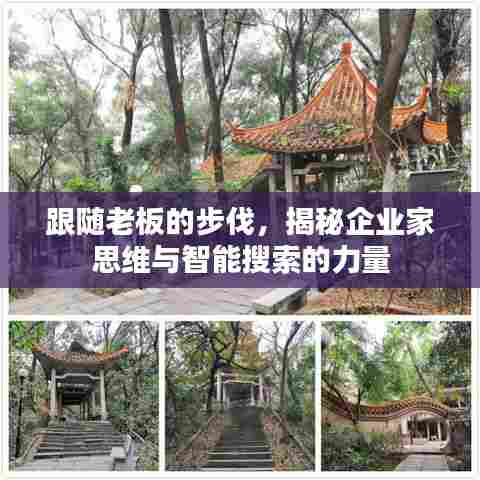 跟随老板的步伐,揭秘企业家思维与智能搜索的力量