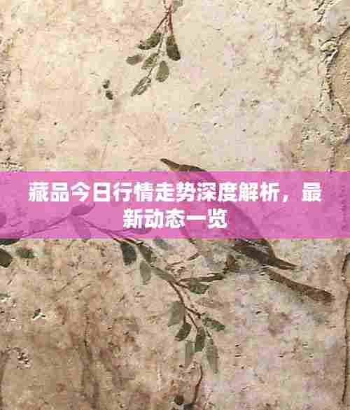 藏品今日行情走势深度解析,最新动态一览