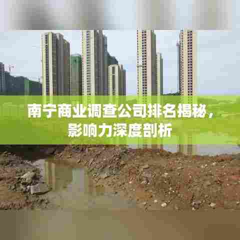 南宁商业调查公司排名揭秘,影响力深度剖析