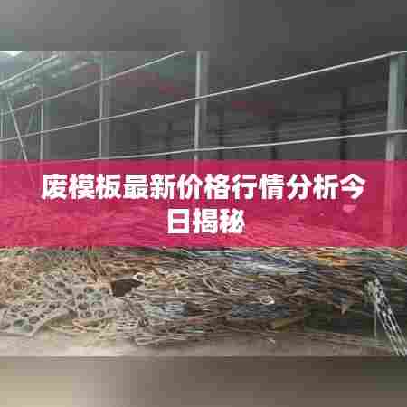 废模板最新价格行情分析今日揭秘