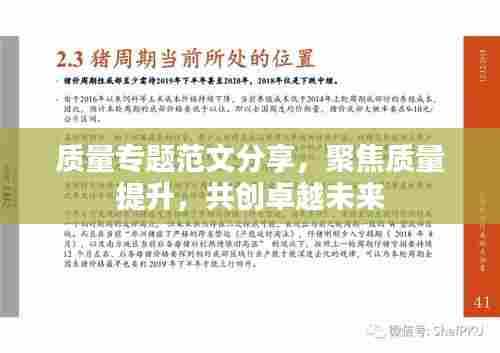 质量专题范文分享,聚焦质量提升,共创卓越未来