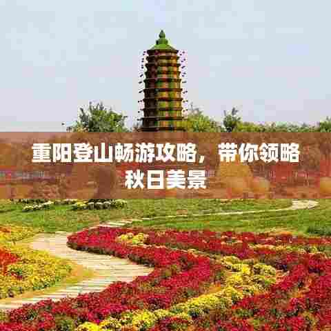 重阳登山畅游攻略，带你领略秋日美景