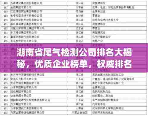 湖南省尾气检测公司排名大揭秘,优质企业榜单,权威排名一网打尽!