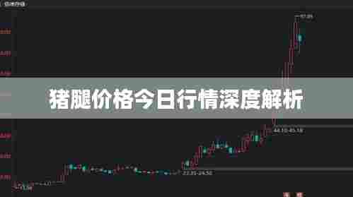 猪腿价格今日行情深度解析