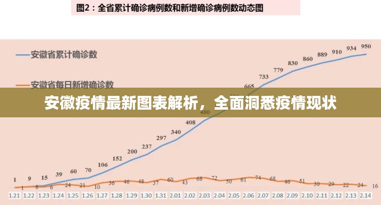 安徽疫情最新图表解析,全面洞悉疫情现状
