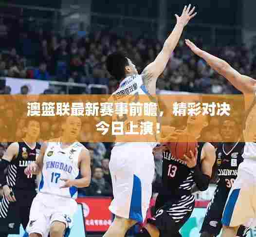 澳篮联最新赛事前瞻,精彩对决今日上演!