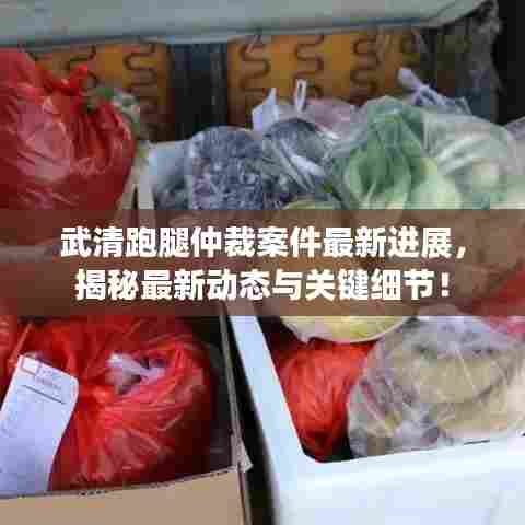 武清跑腿仲裁案件最新进展，揭秘最新动态与关键细节！