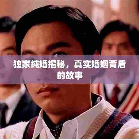 独家纯婚揭秘,真实婚姻背后的故事