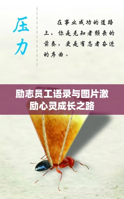 励志员工语录与图片激励心灵成长之路