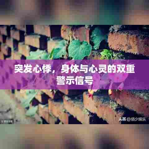 突发心悸，身体与心灵的双重警示信号
