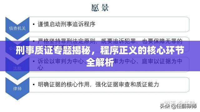 刑事质证专题揭秘,程序正义的核心环节全解析