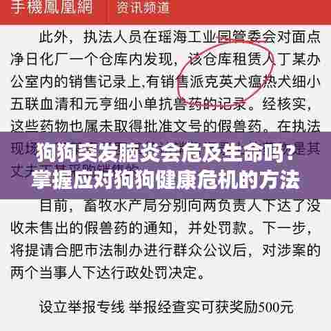 狗狗突发脑炎会危及生命吗?掌握应对狗狗健康危机的方法