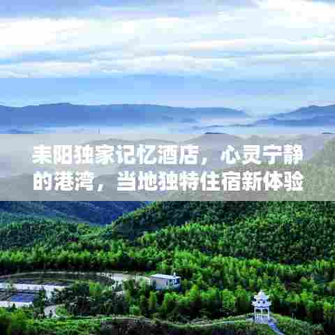 耒阳独家记忆酒店，心灵宁静的港湾，当地独特住宿新体验