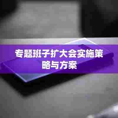专题班子扩大会实施策略与方案