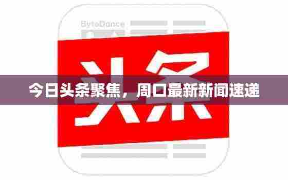 今日头条聚焦,周口最新新闻速递