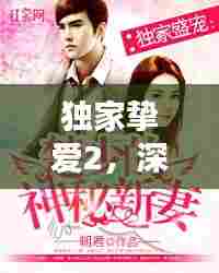 独家挚爱2,深情不渝的浪漫篇章