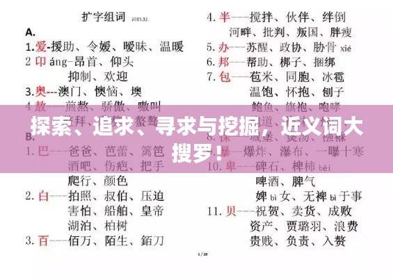 探索、追求、寻求与挖掘，近义词大搜罗！