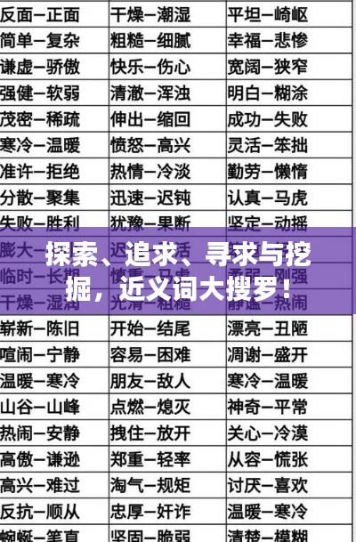 探索、追求、寻求与挖掘,近义词大搜罗!