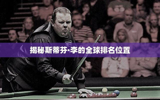 揭秘斯蒂芬·李的全球排名位置