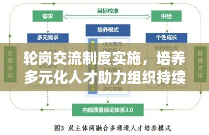 轮岗交流制度实施,培养多元化人才助力组织持续发展