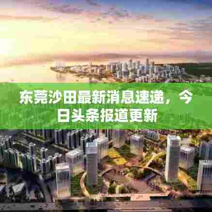 东莞沙田最新消息速递,今日头条报道更新