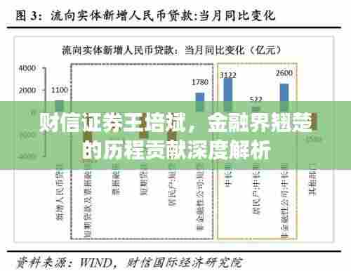 财信证券王培斌，金融界翘楚的历程贡献深度解析