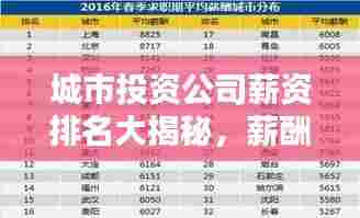 城市投资公司薪资排名大揭秘,薪酬水平深度解析