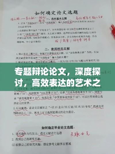专题辩论论文,深度探讨,高效表达的艺术之道