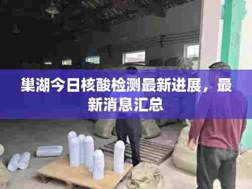 巢湖今日核酸检测最新进展，最新消息汇总