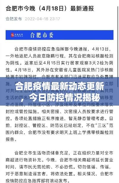 合肥疫情最新动态更新,今日防控情况揭秘